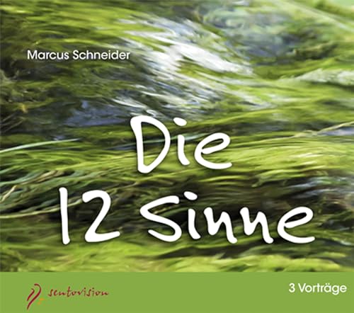 Die 12 Sinne: Vortrag von Marcus Schneider